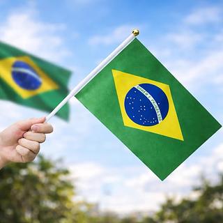 Bandeira do Brasil com Haste 20x30Cm