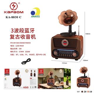 Rádio Retrô Vintage Bluetooth FM AM SW USB Cartão SD Recarregável