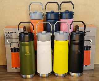 garrafa termica 650ml Com palha com marca stanley