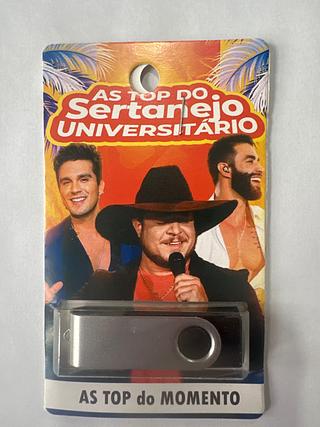 PENDRIV 600-1000 MUSCAS